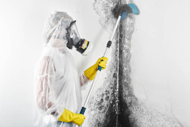 Best Airborne Mold Testing  in Woodmore, MD