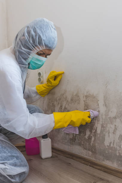 Best Water Damage & Mold Remediation  in Woodmore, MD